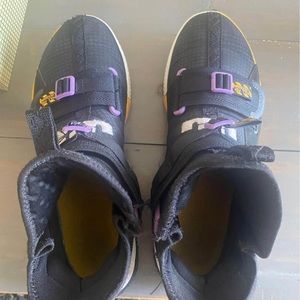 Lebron 13 lakers with box